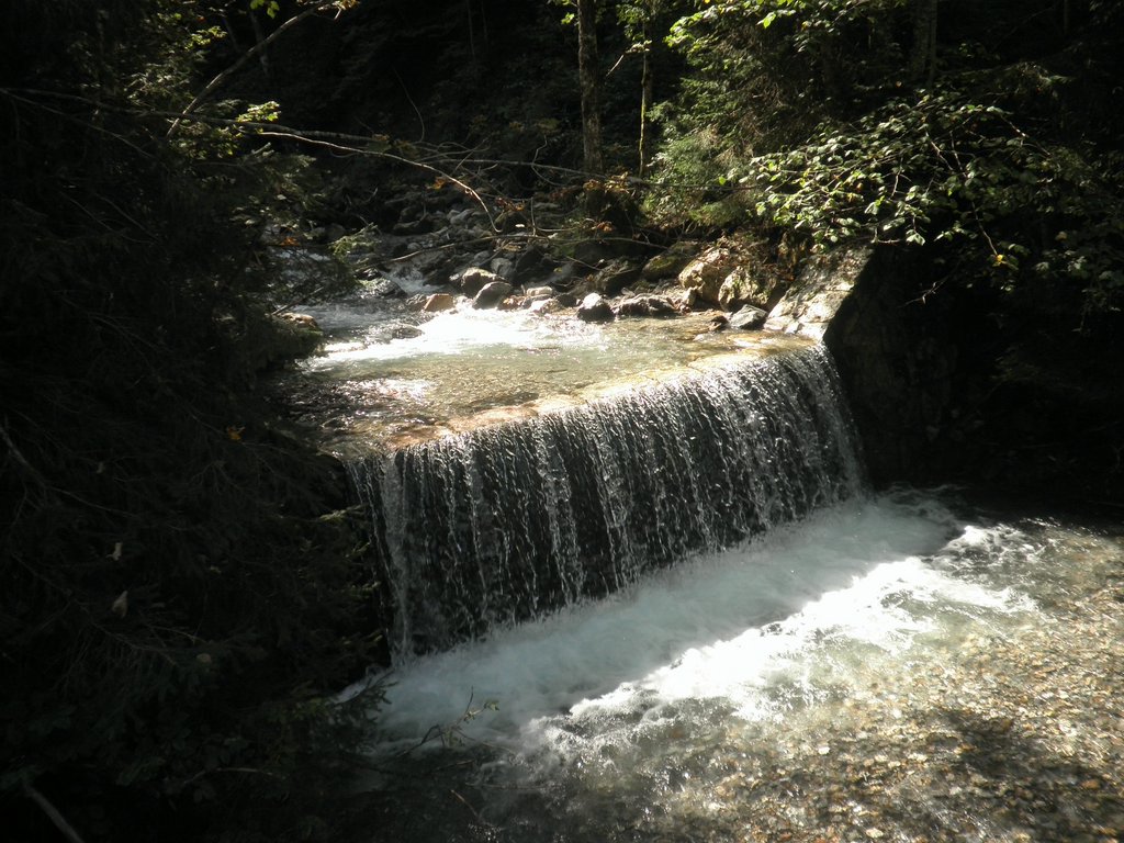 P9100027.JPG