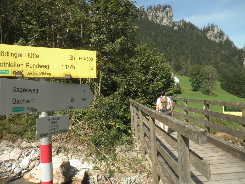 P9100032.JPG