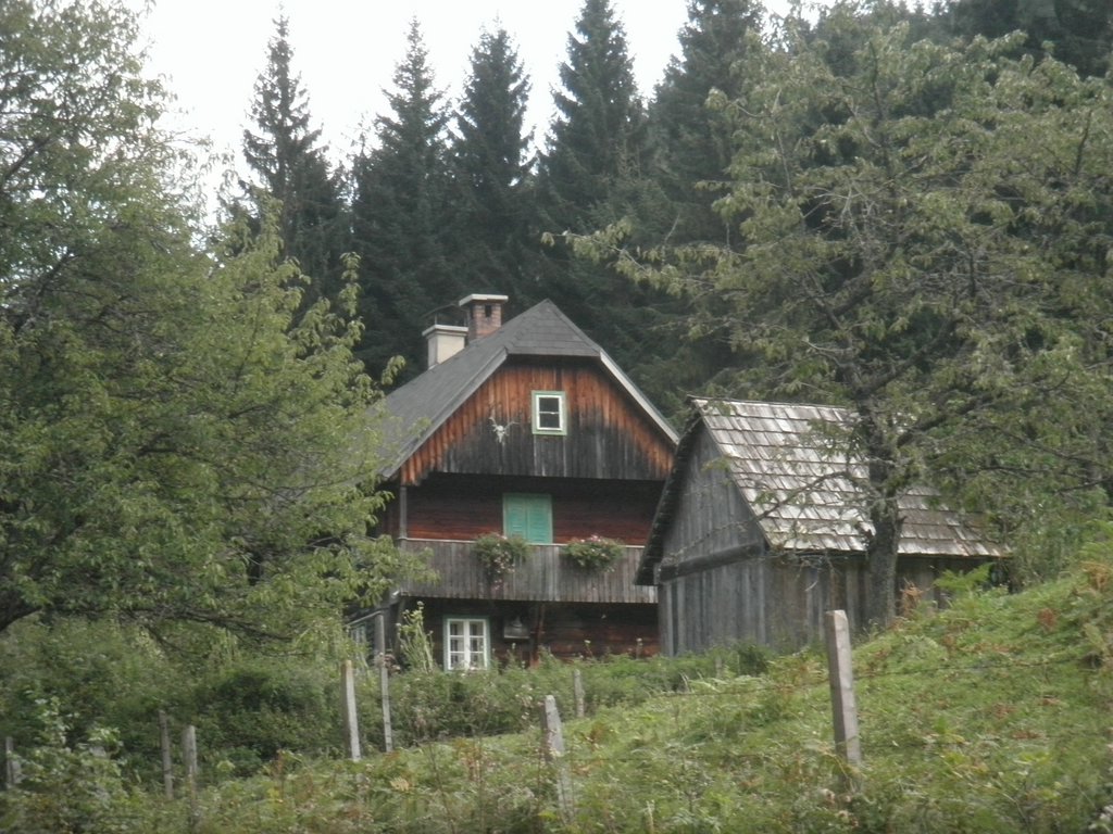 P9100048.JPG