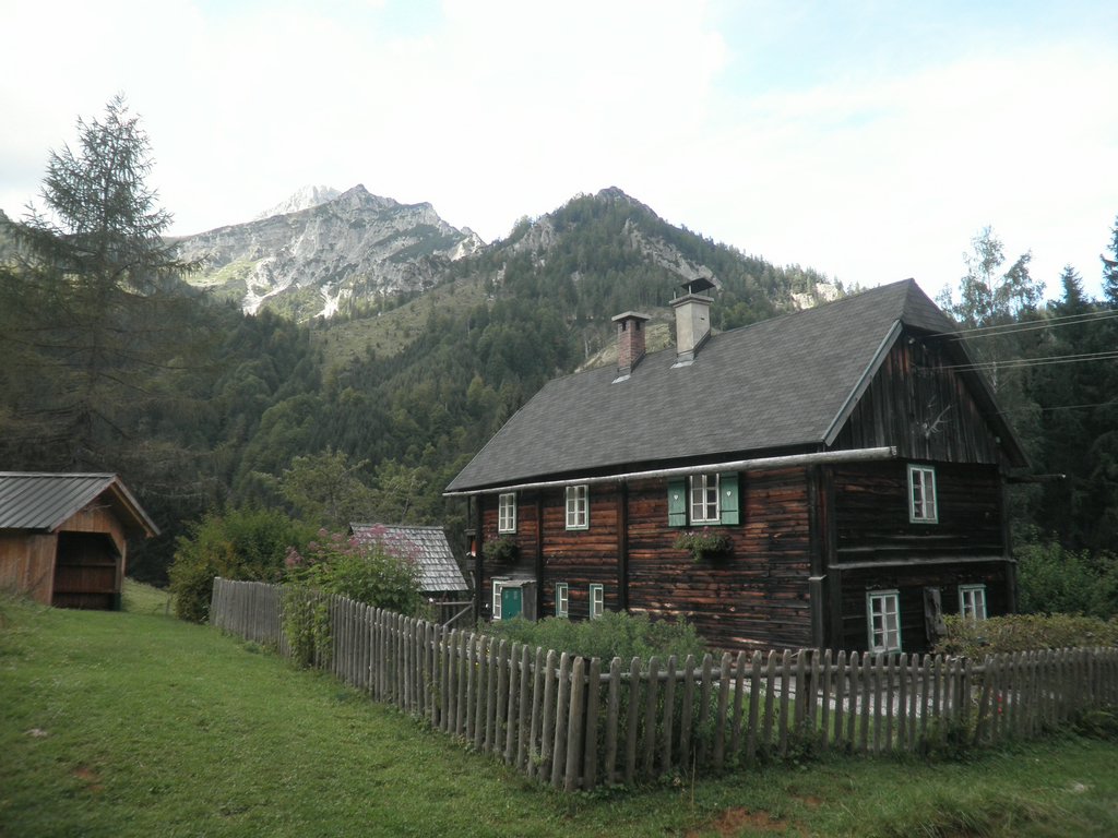 P9100050.JPG