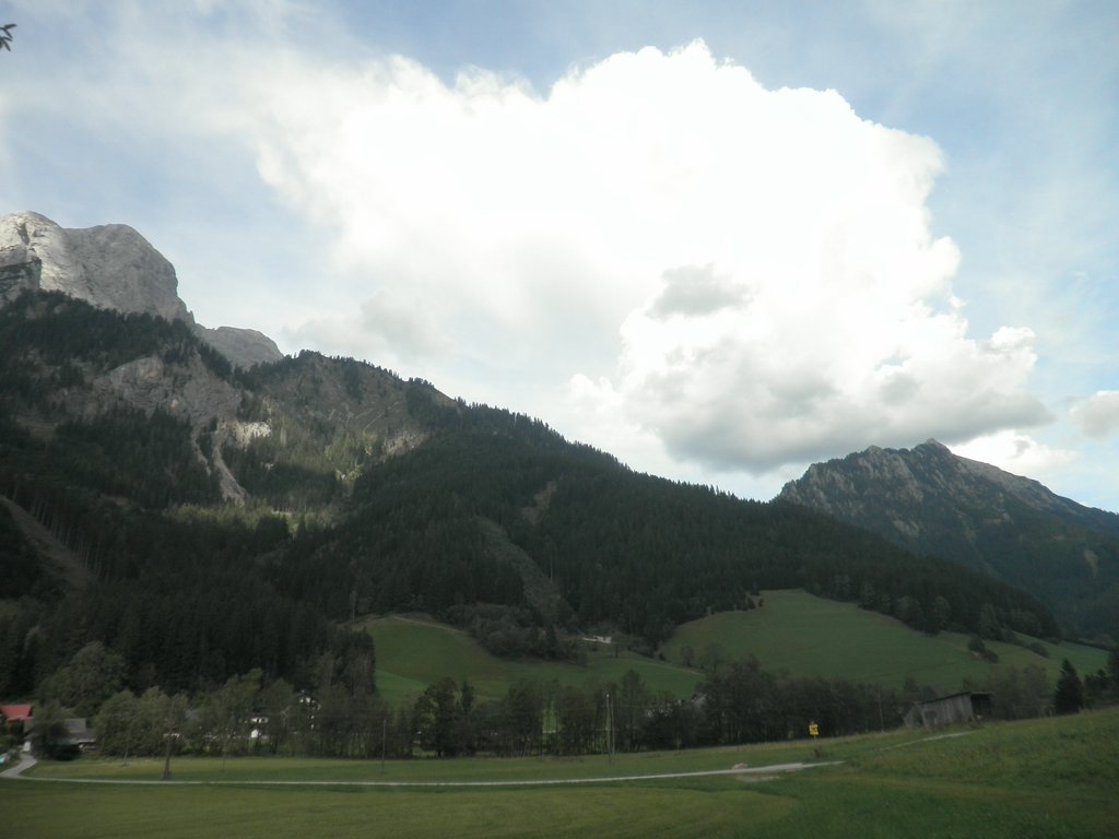 P9100055.JPG