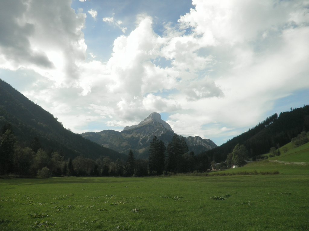 P9100058.JPG