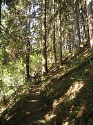P9100006.JPG