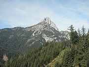 P9100013.JPG