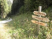 P9100015.JPG