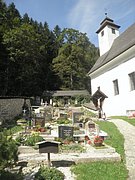 P9100034.JPG