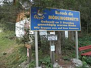 P9100045.JPG