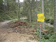 P9100047.JPG
