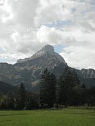 P9100060.JPG