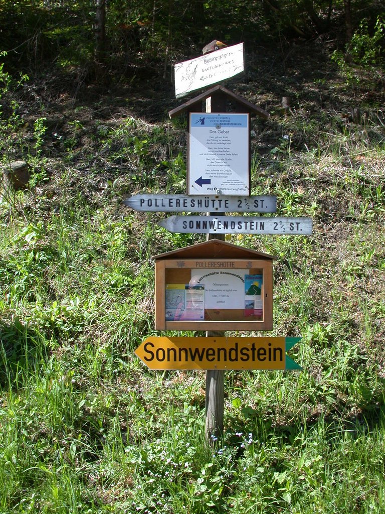 DSCN5485.JPG