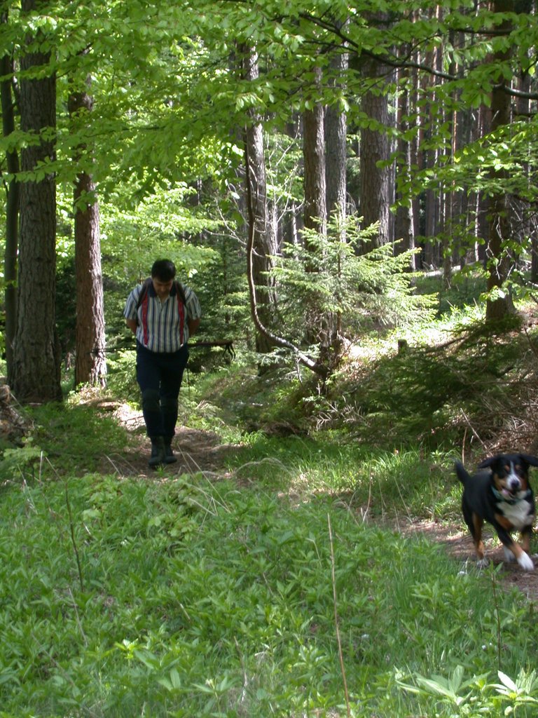 DSCN5489.JPG