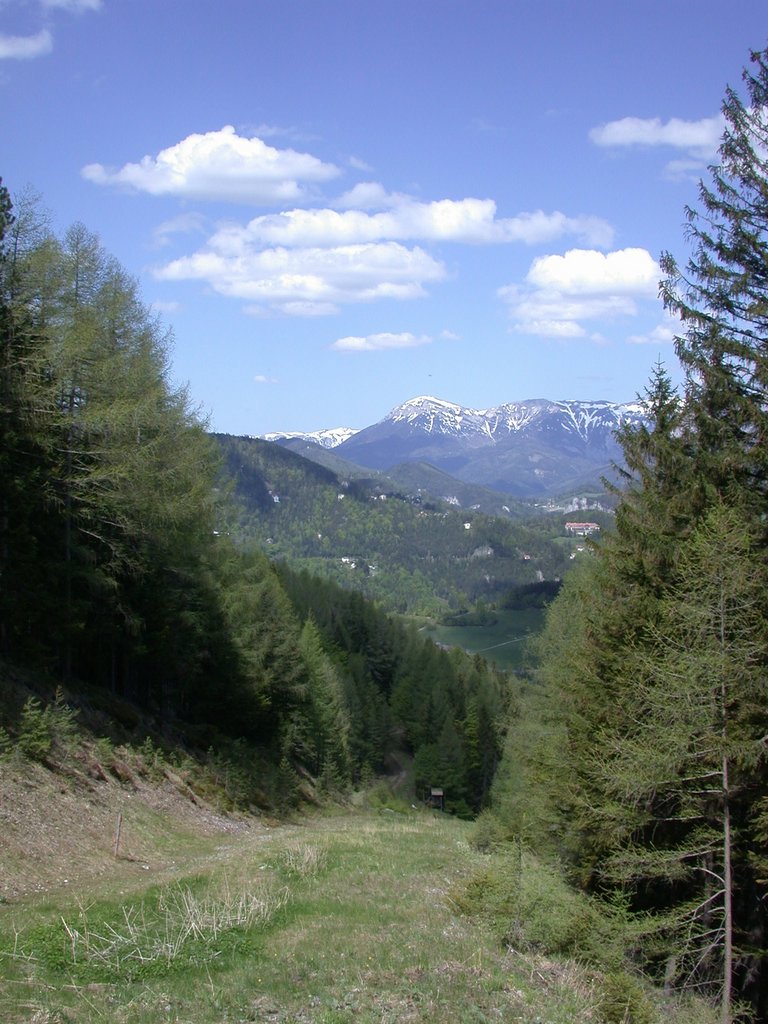 DSCN5491.JPG