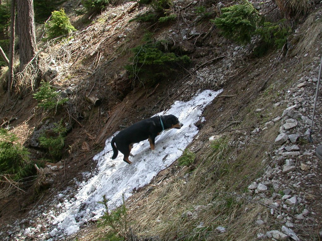 DSCN5500.JPG