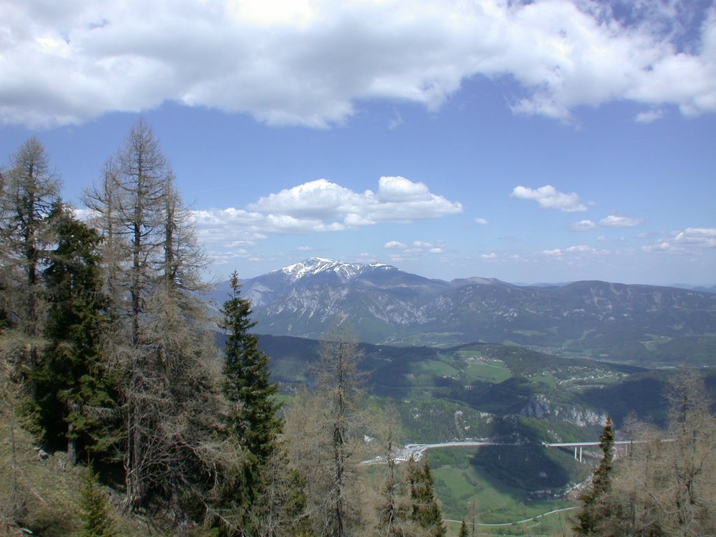 DSCN5516.JPG