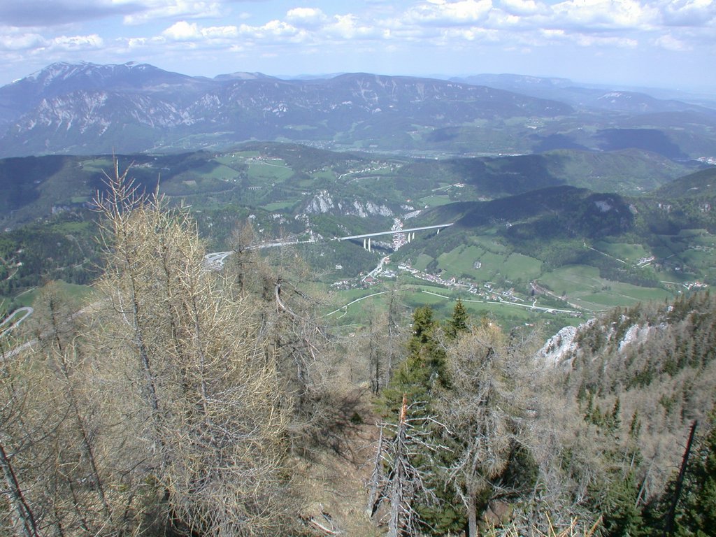 DSCN5536.JPG