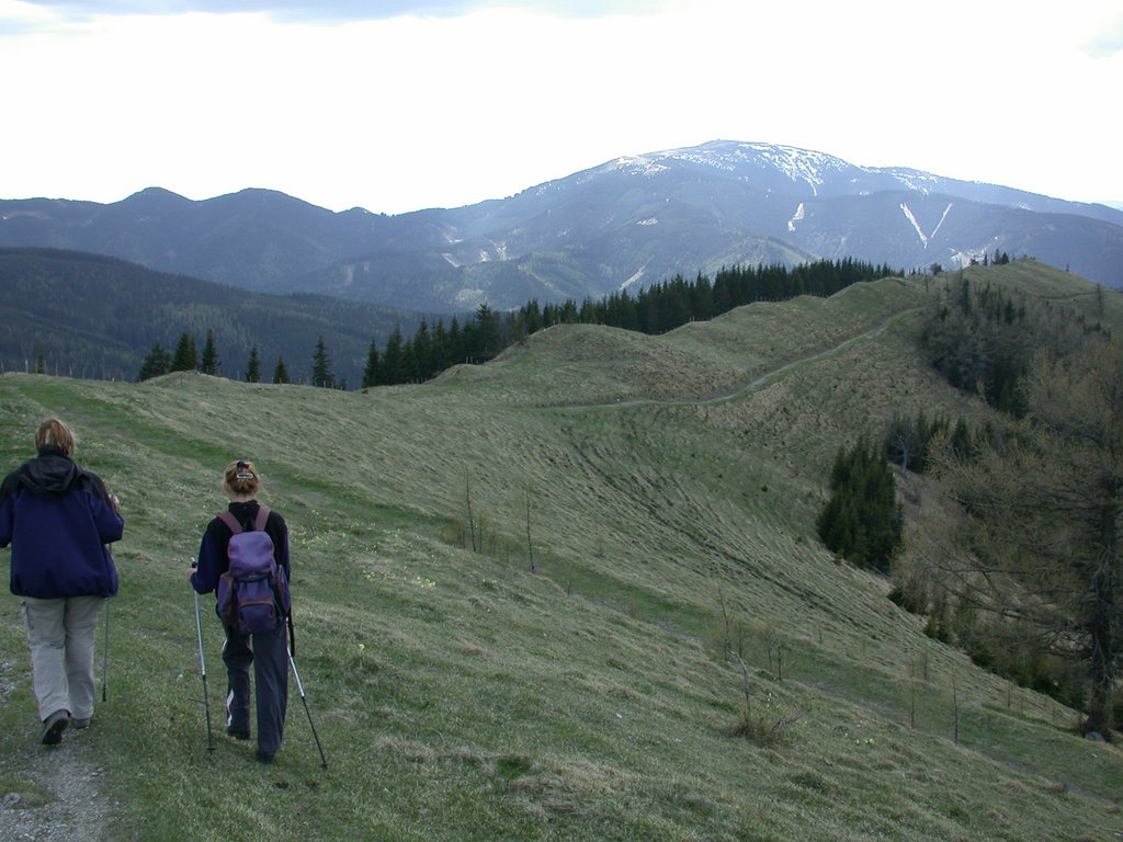 DSCN5552.JPG