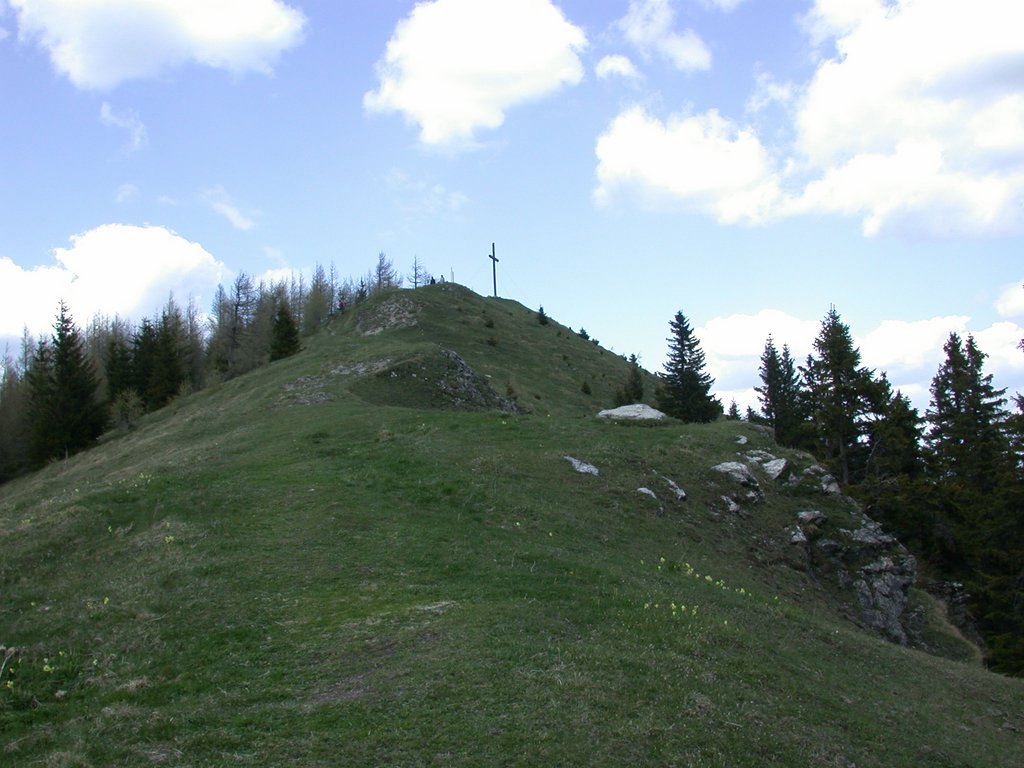 DSCN5556.JPG