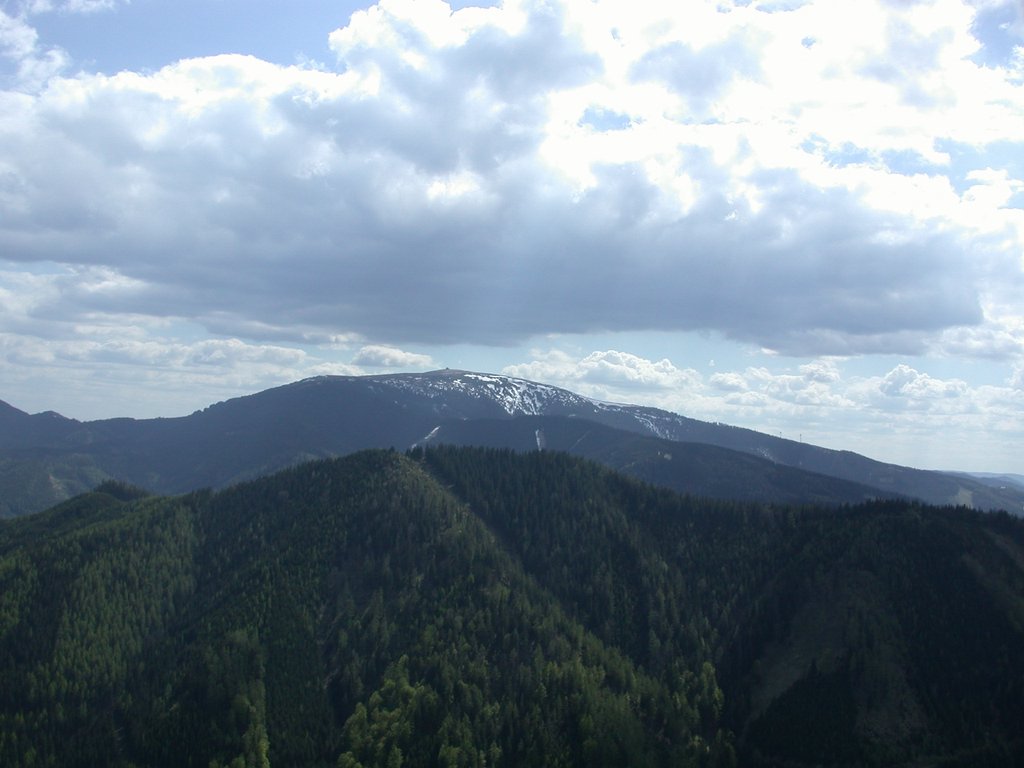 DSCN5572.JPG