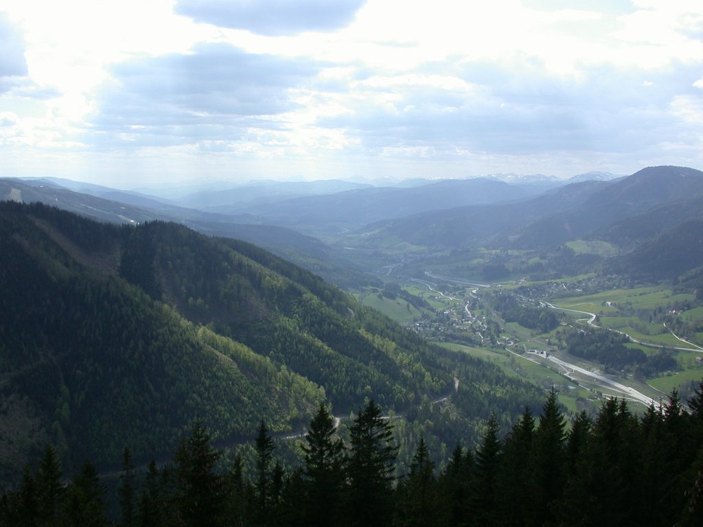 DSCN5575.JPG