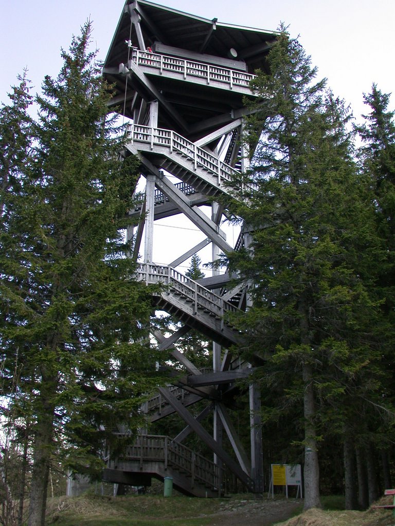 DSCN5582.JPG
