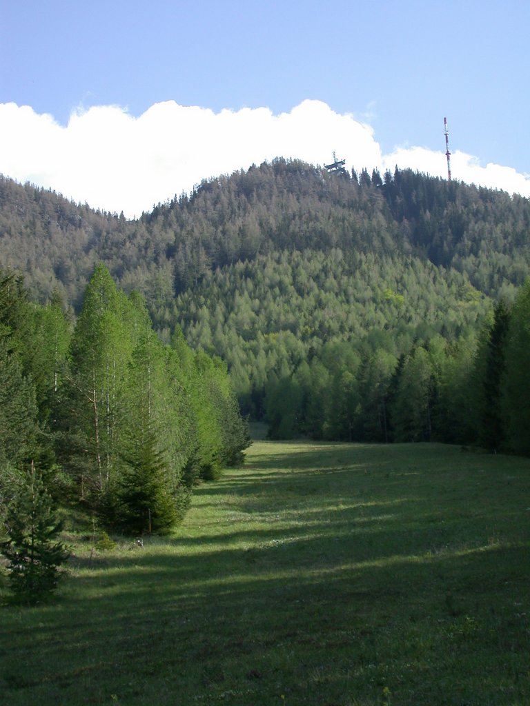 DSCN5603.JPG