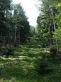 DSCN5488.JPG