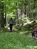 DSCN5489.JPG