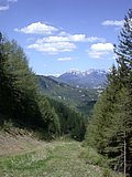 DSCN5491.JPG