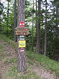 DSCN5601.JPG