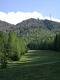 DSCN5603.JPG