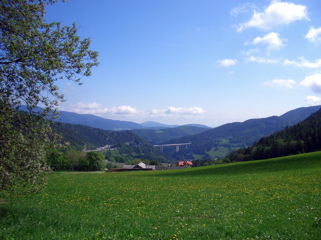 CIMG5070.JPG