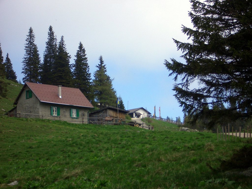 CIMG5086.JPG