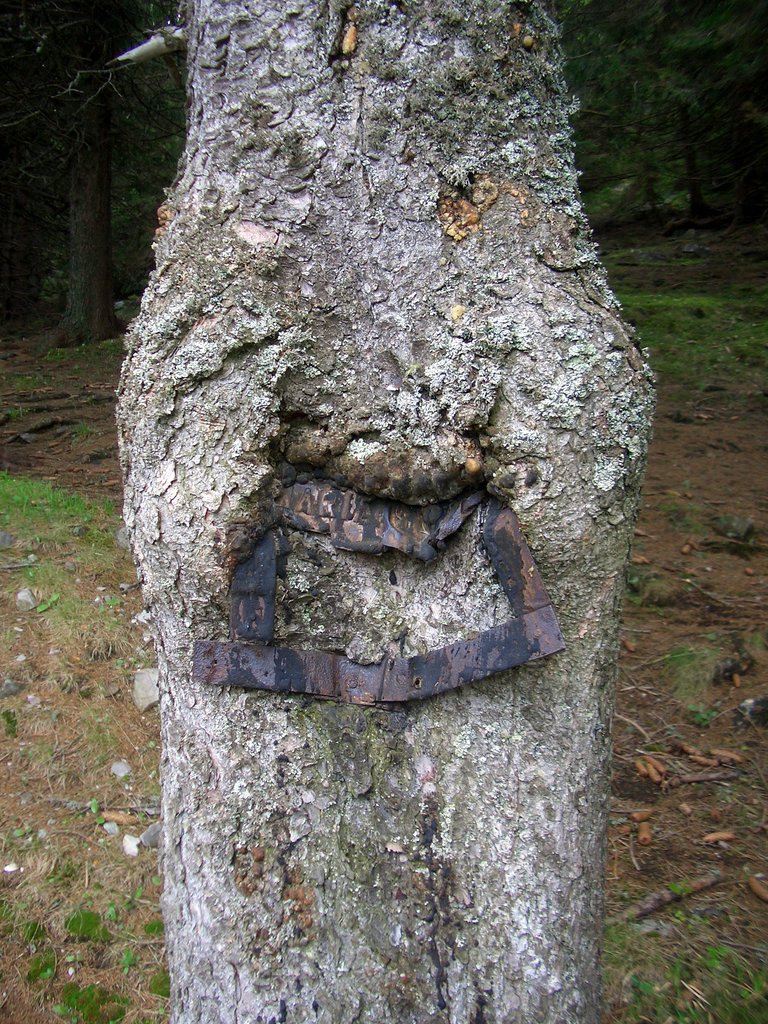 CIMG5087.JPG