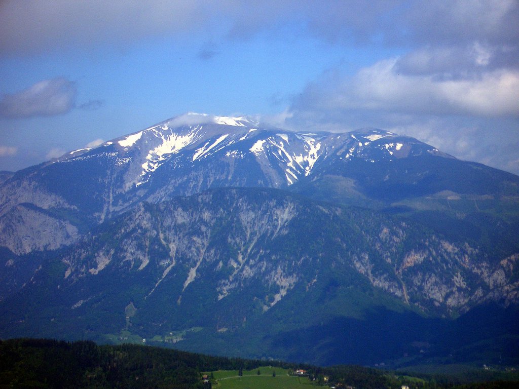 CIMG5095.JPG