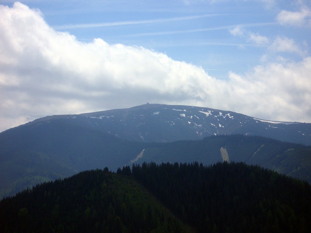 CIMG5121.JPG