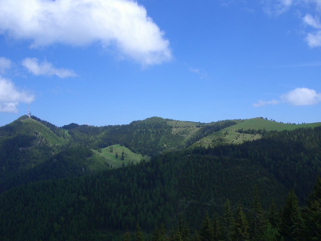 CIMG5122.JPG