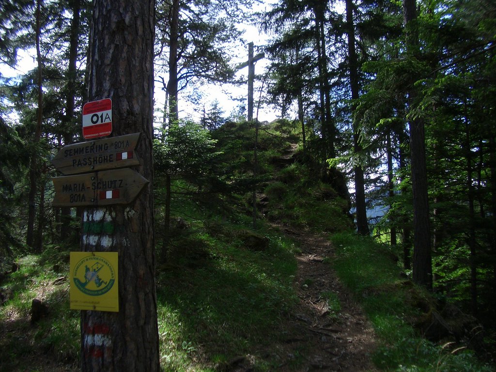 CIMG5134.JPG