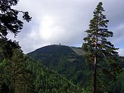 CIMG5075.JPG