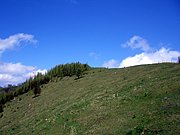 CIMG5107.JPG