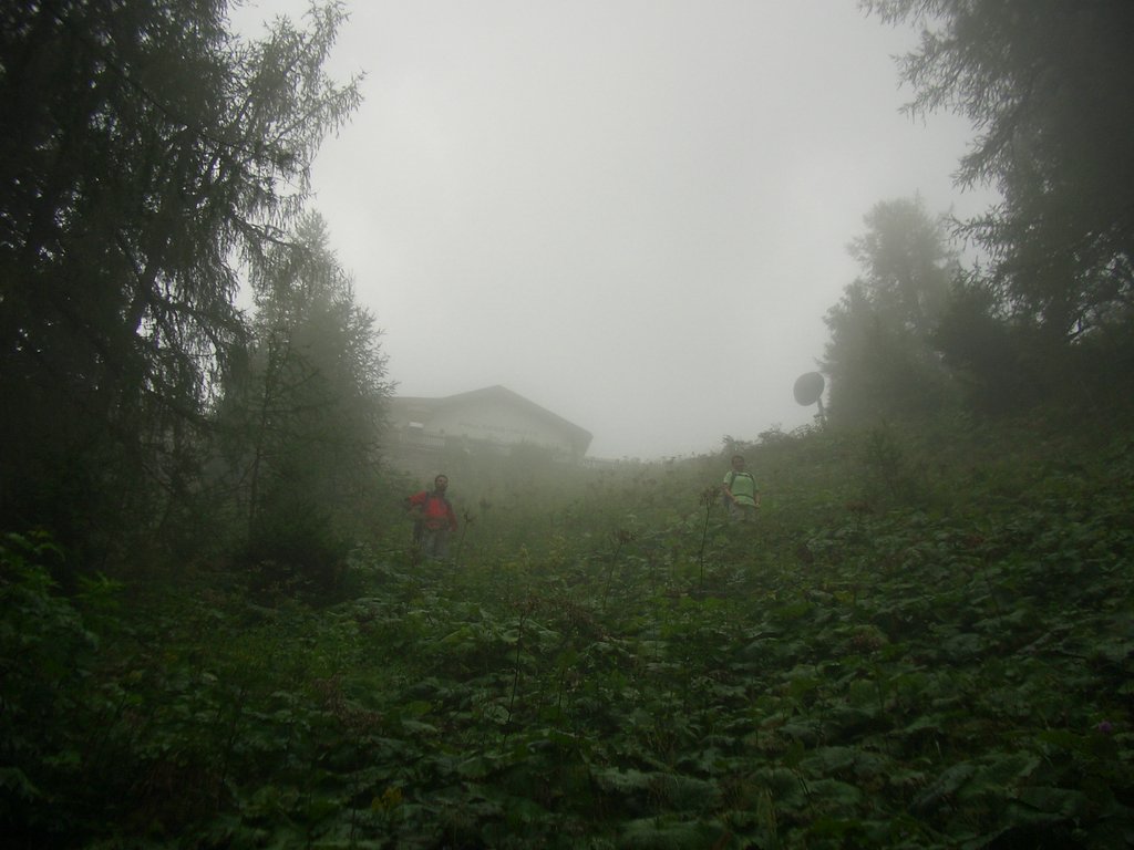 CIMG7024.JPG