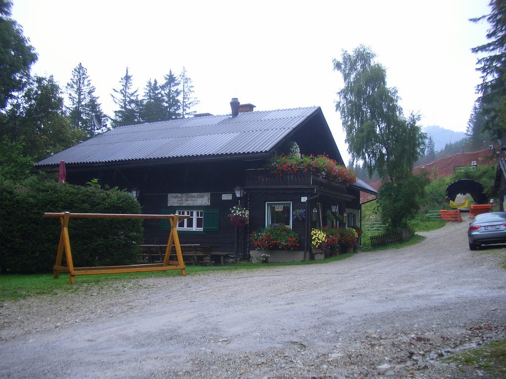 CIMG7038.JPG