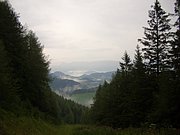 CIMG7016.JPG