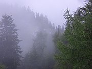 CIMG7029.JPG