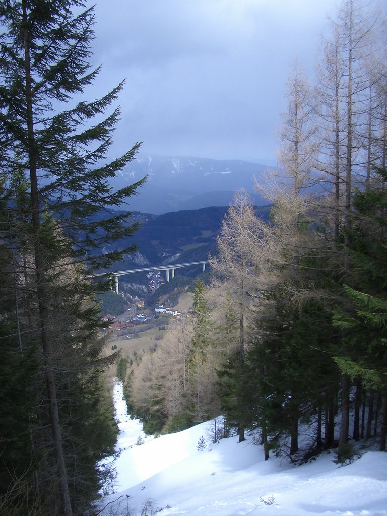 CIMG4065.JPG