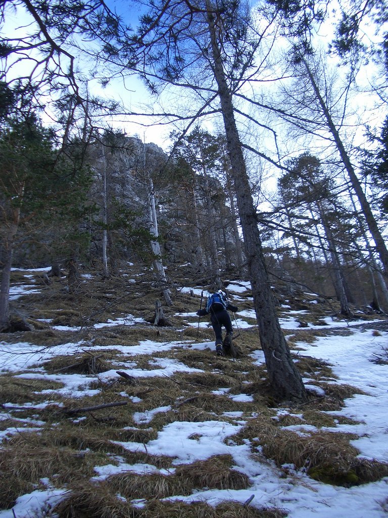 CIMG4068.JPG