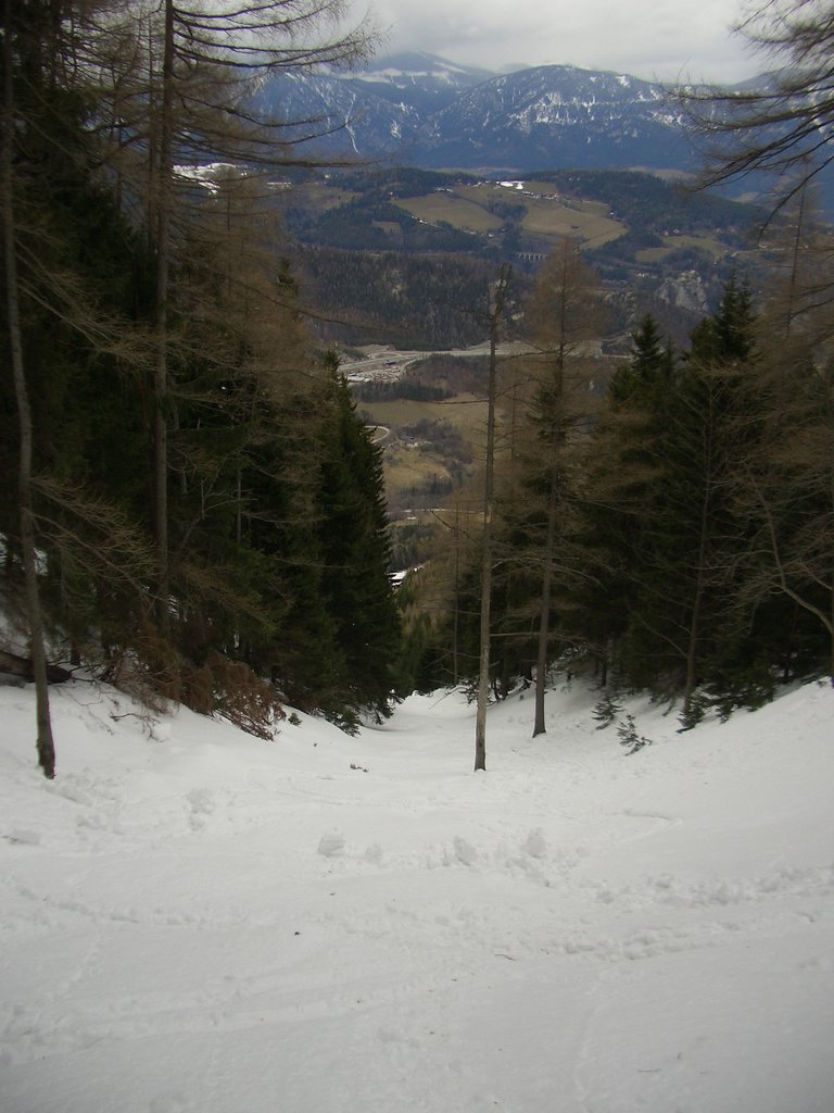 CIMG4072.JPG