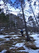 CIMG4068.JPG