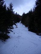 CIMG4073.JPG
