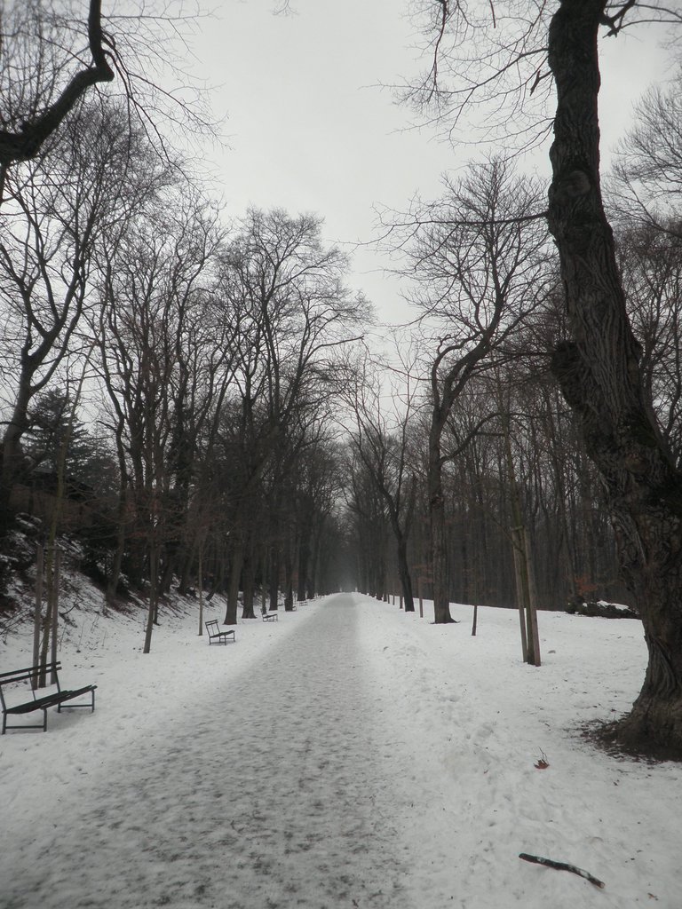 P1070003.JPG