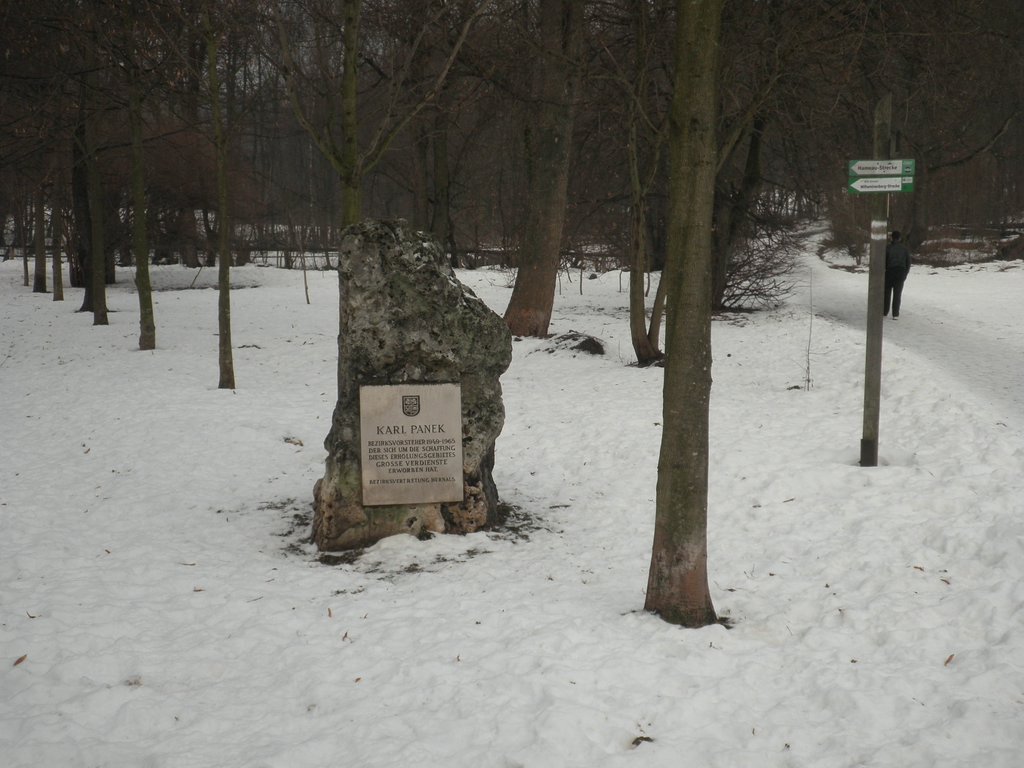 P1070006.JPG